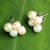 Cultured pearl button earrings, 'Luminous Purity - Thai White Pearl Earrings