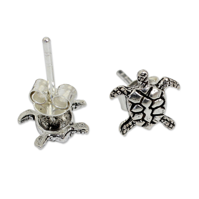 Sterling silver button earrings, 'Baby Sea Turtle' - Sterling Silver Button Earrings