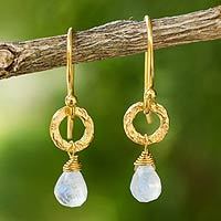 Gold plated moonstone dangle earrings, 'Dewy Suns'