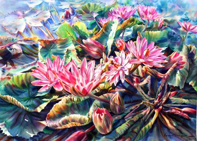 'Pink Blossom' (2014) - Original Signed watercolour Painting of Pink Water Lilies