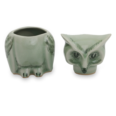 Celadon ceramic jar, 'Happy Green Owl' - Fair Trade Green Celadon Ceramic Owl Jar with Lid