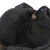 Cotton shoulder bag, 'Oriental Dark Brown' - Ikat Style Hand Woven Cotton Shoulder Bag with Pockets (image 2d) thumbail