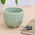 Celadon-Keramikvase, (mittel) - Handgefertigte grüne Keramikvase mit Korbmotiv (mittel)