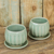 Teetassen und Untertassen aus Celadon-Keramik, (Paar) - Fair gehandelte thailändische Celadon-Keramik-Teetassen und Untertassen (Paar)