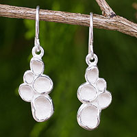Sterling silver dangle earrings, 'Seed Pod'