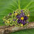 Amethyst flower bracelet, 'Blossoming Stargazer' - Artisan Crafted Amethyst Beaded Bracelet thumbail