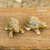 Ceramic figurines, 'Resilient Turtles' (pair) - Thai Ceramic Turtle Figurines in Brown-Green (Pair) thumbail