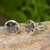 Sterling silver button earrings, 'Sand Dollar' - Hand Crafted Seashell Design Sterling Silver Button Earrings thumbail
