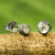 Moonstone stud earrings, 'Snow Glow' - Sterling Silver Stud Earrings with Faceted Moonstone (image 2b) thumbail