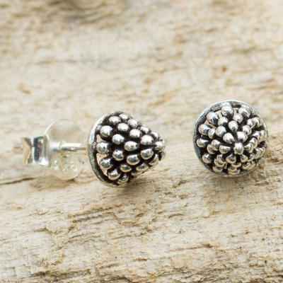 Sterling silver stud earrings, 'Shining Berry' - Fair Trade Silver Berry Theme Stud Earrings