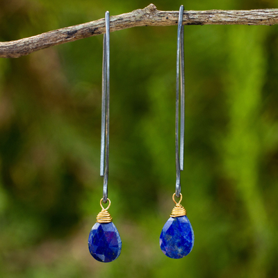 Lapis lazuli dangle earrings, 'Midnight Meadow' - Sterling Silver and Gold Accent Earrings with Lapis Lazuli
