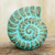 Recycled paper wall sculpture, 'Fossilized Nautilus' - Seashell Wall Art Sculpture Handmade with Recycled Paper thumbail