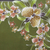 Rayon batik sarong, 'Autumn Cattleya' - Handmade Olive Green Rayon Sarong with Floral Motif (image 2f) thumbail