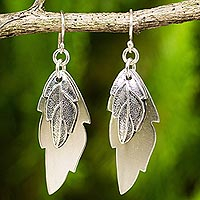 Sterling silver dangle earrings, 'Shadow Leaves'