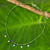 Multi-gemstone beaded necklace, 'Green Essence' - Hand Crafted Multi-gemstone Beaded Necklace (image 2) thumbail