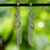 Pendientes cascada de plata de primera ley - Aretes tipo candelabro con cadena de bolas de plata esterlina de Tailandia