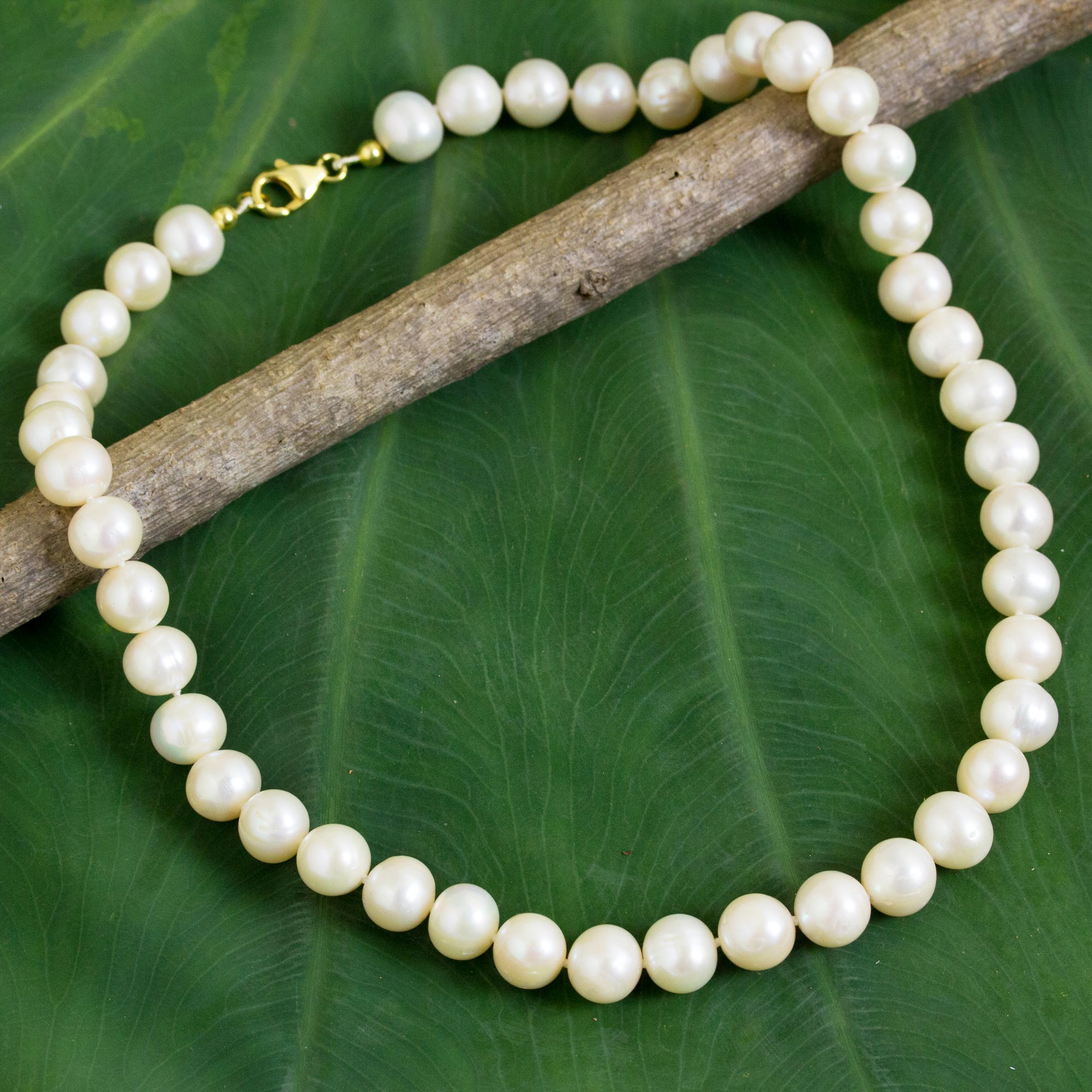 cultured freshwater pearls