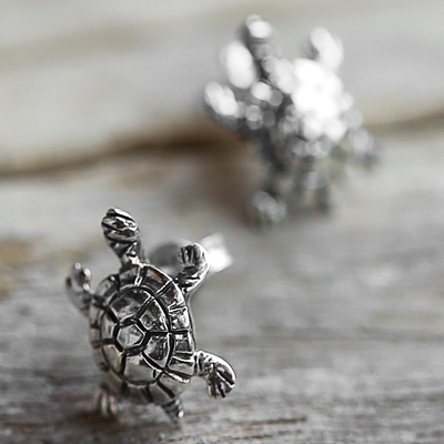 Sterling silver button earrings, 'Little Turtles' - Sterling Silver Button Earrings Turtle Shape from Thailand