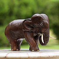 Wood sculpture, 'Charming Little Elephant'