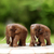 Esculturas de madera de teca, (par) - Esculturas de elefantes de madera de teca marrón (par) de Tailandia
