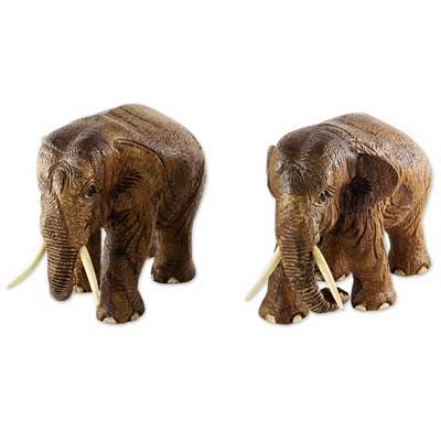 Brown Teak Wood Elephant Sculptures (Pair) from Thailand