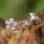 Tourmaline stud earrings, 'Winter Blooms' - Sterling Silver Pink Tourmaline Floral Stud Earrings (image 2b) thumbail
