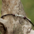 Multi-gemstone beaded necklace, 'Bohemian Harmony' - Fair Trade Multi Gemstone Beaded Necklace (image 2d) thumbail