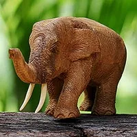 Featured review for Teak wood sculpture, Elephant Gait