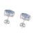 Blue topaz stud earrings, 'Precious Gift' - Rhodium Plated Blue Topaz Stud Earrings from Thailand (image 2c) thumbail