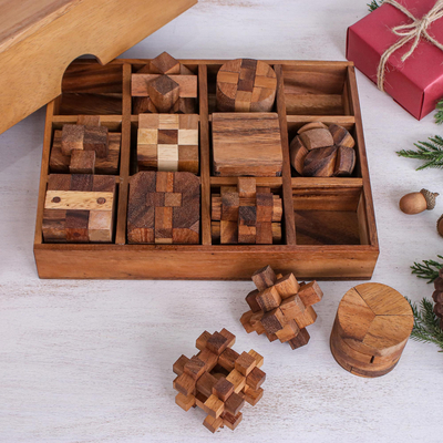 Wood puzzle set, 'Logical Mind' (set of 12) - 12 Handcrafted Wood Puzzles with Box from Thailand