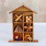 Wood puzzle set with box, 'Household Challenge' (set of 6) - Six Rain Tree Wood Puzzles with Box from Thailand