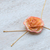 Natural rose lariat necklace, 'Old Fashioned Garden Rose' - Genuine Rose and Gold Plate Necklace from Thailand (image 2c) thumbail