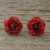 Natural rose button earrings, 'Flowering Passion in Red' - Natural Rose Button Earrings in Red from Thailand thumbail