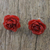 Natural rose button earrings, 'Flowering Passion in Red' - Natural Rose Button Earrings in Red from Thailand (image 2b) thumbail