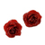 Natural rose button earrings, 'Flowering Passion in Red' - Natural Rose Button Earrings in Red from Thailand