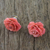 Natural rose button earrings, 'Flowering Passion in Pink' - Natural Rose Button Earrings in Pink from Thailand (image 2b) thumbail