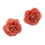Natural rose button earrings, 'Flowering Passion in Pink' - Natural Rose Button Earrings in Pink from Thailand (image 2d) thumbail