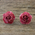 Natural rose button earrings, 'Flowering Passion in Cerise' - Natural Rose Button Earrings in Cerise from Thailand thumbail