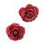 Natural rose button earrings, 'Flowering Passion in Cerise' - Natural Rose Button Earrings in Cerise from Thailand (image 2d) thumbail