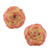 Natural rose button earrings, 'Flowering Passion' - Artisan Crafted Natural Rose Button Earrings from Thailand