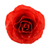 Natural rose brooch, 'Rosy Mood in Red' - Artisan Crafted Natural Rose Brooch in Red from Thailand (image 2a) thumbail
