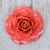 Natural rose brooch, 'Rosy Mood in Pink' - Artisan Crafted Natural Rose Brooch in Pink from Thailand thumbail