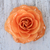 Natural rose brooch, 'Rosy Mood in Peach' - Artisan Crafted Natural Rose Brooch in Peach from Thailand thumbail