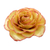 Natural rose brooch, 'Rosy Mood' - Artisan Crafted Natural Rose Brooch from Thailand (image 2c) thumbail