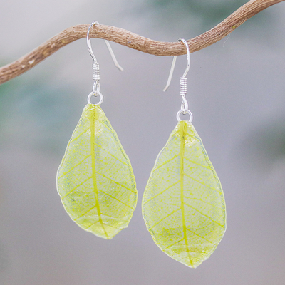 Natural leaf dangle earrings, Stunning Nature in Sap Green