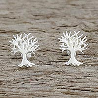 Sterling silver stud earrings, 'Branches Above'