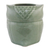Celadon ceramic toilet tissue holder, 'Sleepy Owl' - Celadon Ceramic Owl Shaped Toilet Tissue Holder