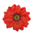 Natural aster brooch pin, 'Let It Bloom in Cardinal Red' - Natural Aster Flower Brooch in Cardinal Red from Thailand (image 2a) thumbail