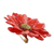 Natural aster brooch pin, 'Let It Bloom in Cardinal Red' - Natural Aster Flower Brooch in Cardinal Red from Thailand (image 2c) thumbail