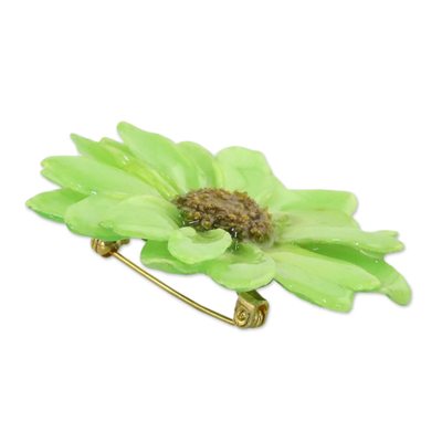 Broche aster natural - Broche de flor de aster natural en verde primavera de Tailandia
